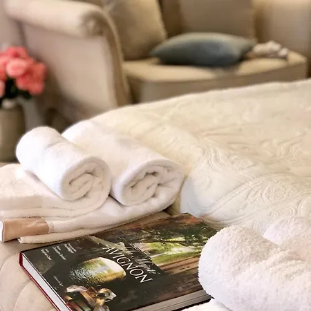 Les Anges Deluxe - Exclusive Luxury Apartment Avignon
