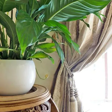 Les Anges Deluxe - Exclusive Luxury Apartment